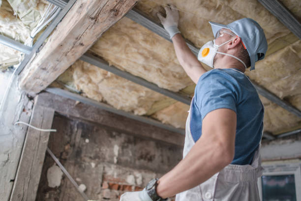 Professional Insulation Contractor in Dexter, OR